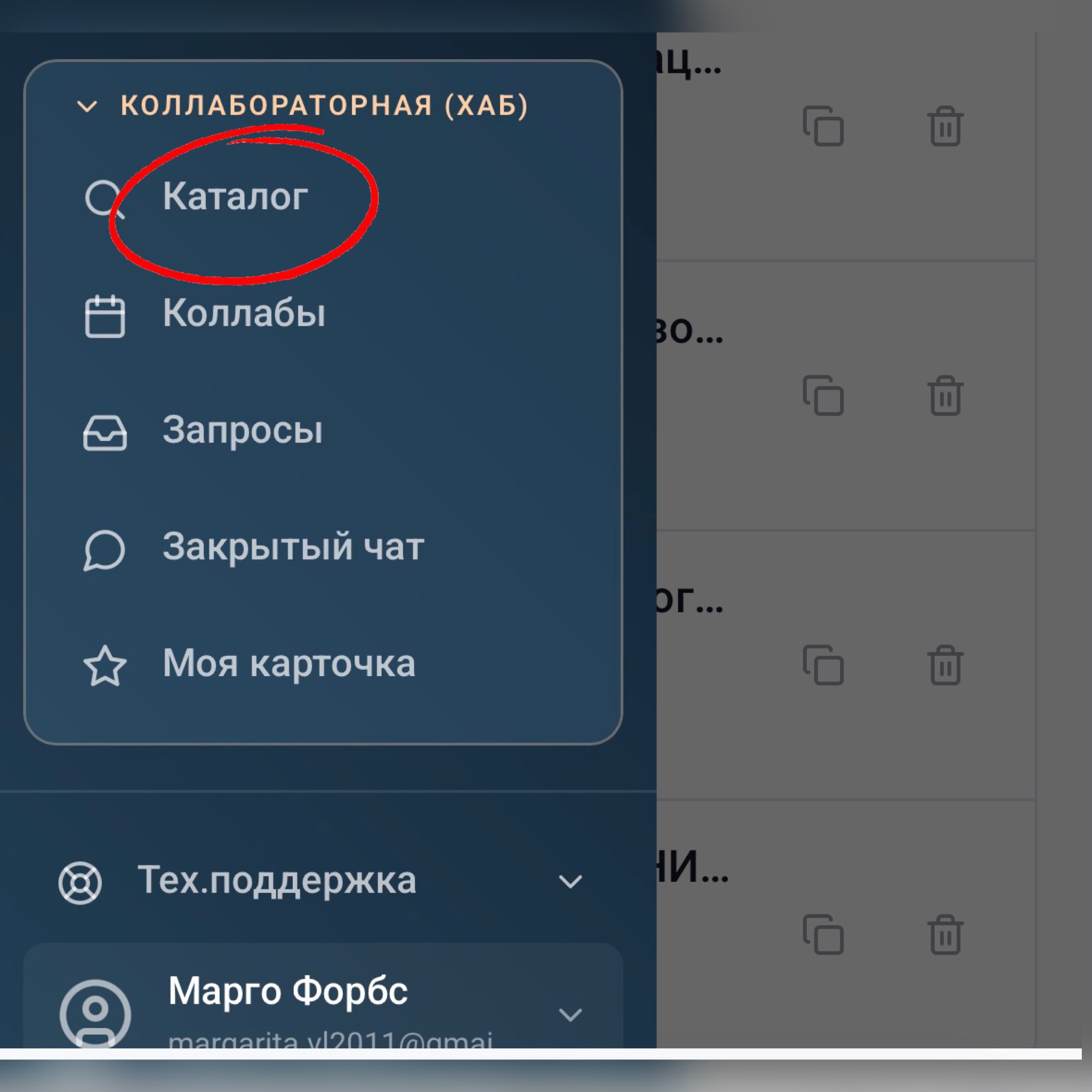 Коллабораторная (Хаб), пункт меню Каталог