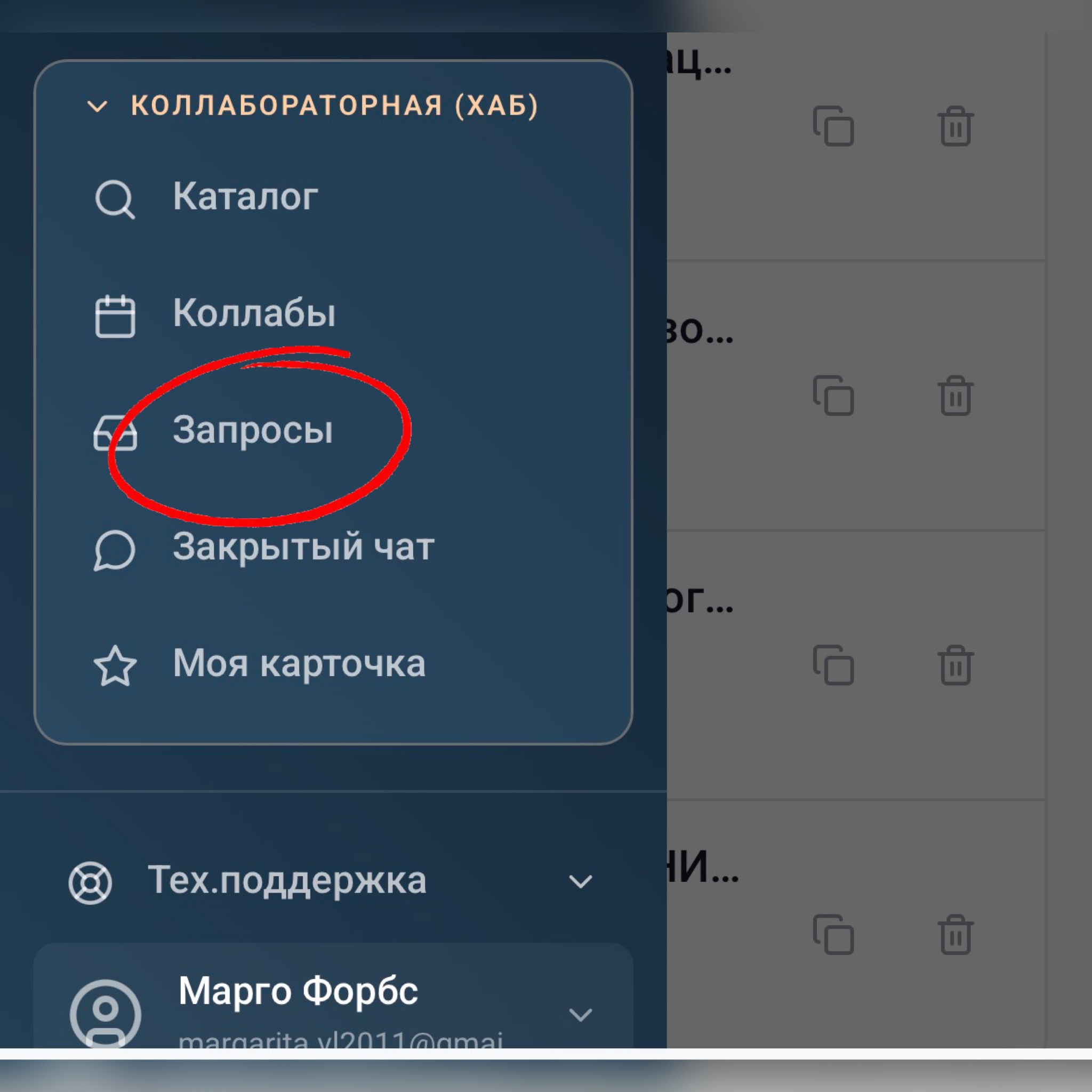 Коллабораторная (Хаб), пункт меню Запросы